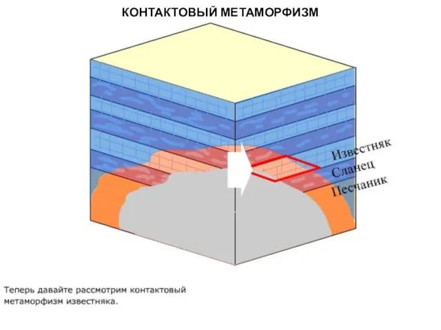 МЕТАОРФИЧЕСКИЕ ПОРОДЫ КОНТАКТОВЫЙ МЕТАМОРФИЗМ