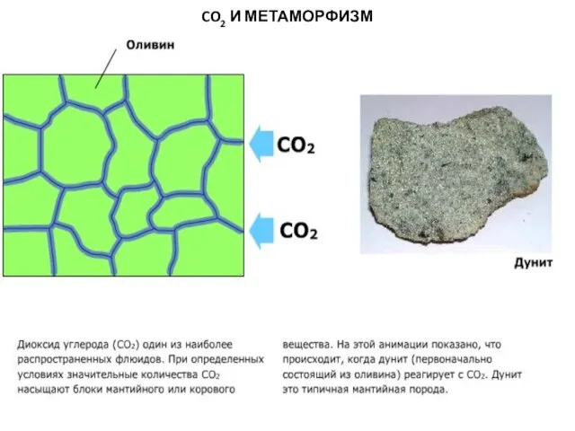 МЕТАОРФИЧЕСКИЕ ПОРОДЫ CO2 И МЕТАМОРФИЗМ