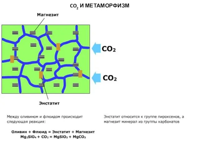 МЕТАОРФИЧЕСКИЕ ПОРОДЫ CO2 И МЕТАМОРФИЗМ