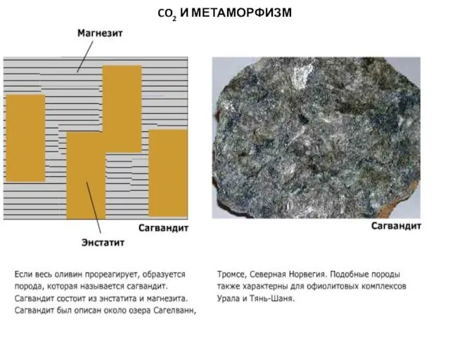 МЕТАОРФИЧЕСКИЕ ПОРОДЫ CO2 И МЕТАМОРФИЗМ