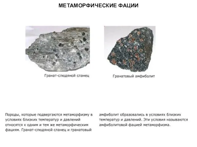 МЕТАОРФИЧЕСКИЕ ПОРОДЫ МЕТАМОРФИЧЕСКИЕ ФАЦИИ