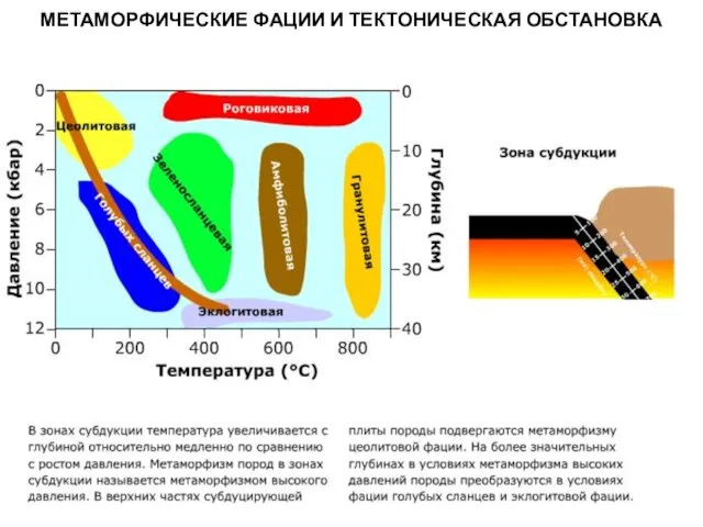 МЕТАОРФИЧЕСКИЕ ПОРОДЫ МЕТАМОРФИЧЕСКИЕ ФАЦИИ И ТЕКТОНИЧЕСКАЯ ОБСТАНОВКА