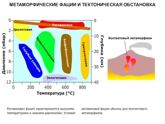 МЕТАОРФИЧЕСКИЕ ПОРОДЫ МЕТАМОРФИЧЕСКИЕ ФАЦИИ И ТЕКТОНИЧЕСКАЯ ОБСТАНОВКА