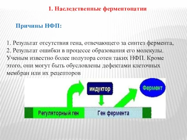 1. Наследственные ферментопатии Причины НФП: 1. Результат отсутствия гена, отвечающего за