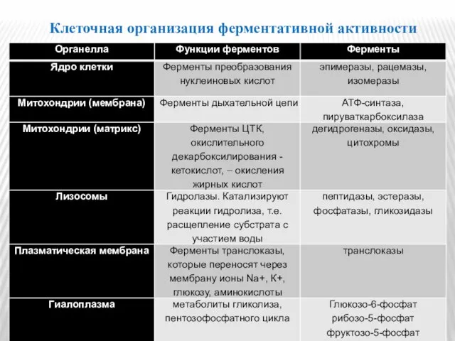 Клеточная организация ферментативной активности