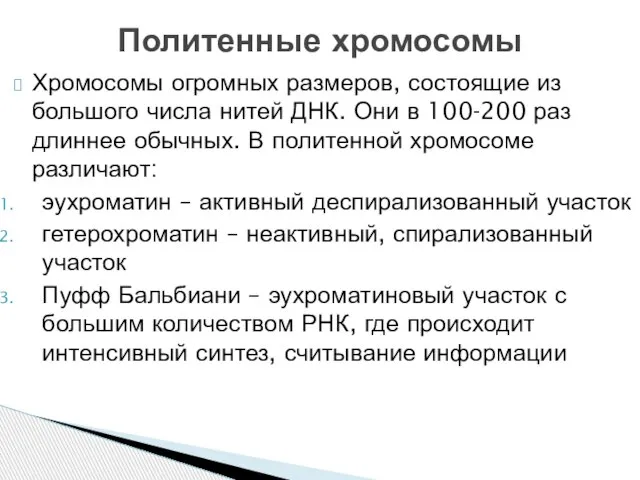 Хромосомы огромных размеров, состоящие из большого числа нитей ДНК. Они в