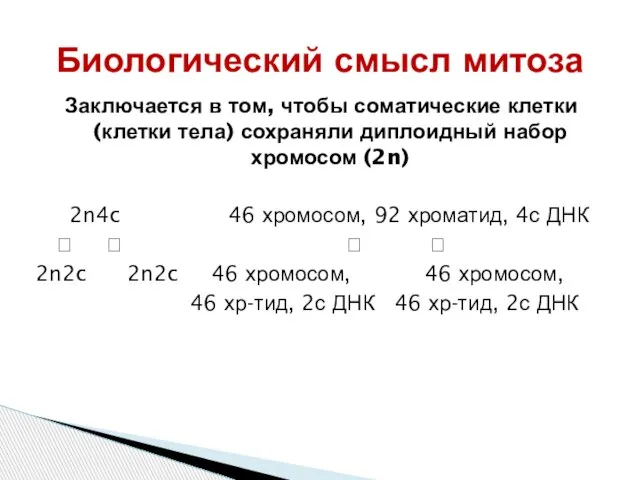 Заключается в том, чтобы соматические клетки (клетки тела) сохраняли диплоидный набор