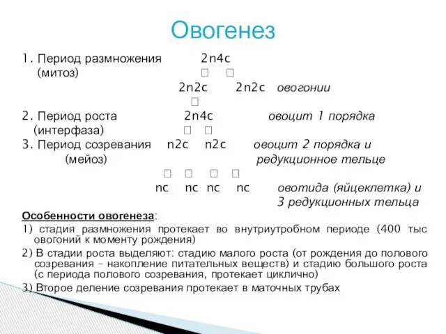 1. Период размножения 2n4c (митоз) ? ? 2n2c 2n2c овогонии ?