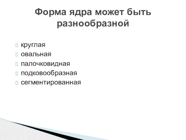 круглая овальная палочковидная подковообразная сегментированная Форма ядра может быть разнообразной