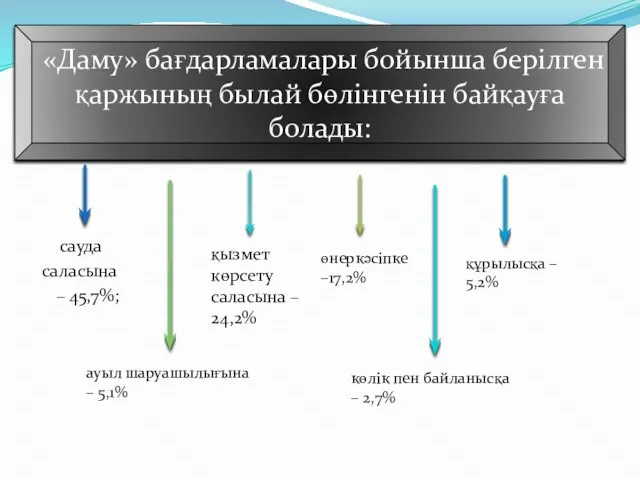 сауда саласына – 45,7%; «Даму» бағдарламалары бойынша берілген қаржының былай бөлінгенін