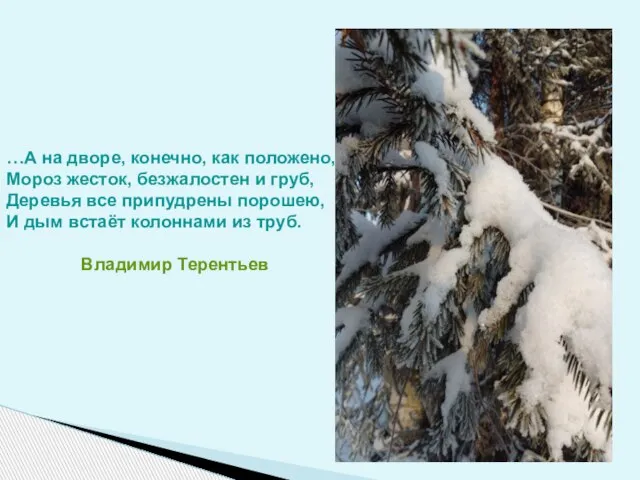 …А на дворе, конечно, как положено, Мороз жесток, безжалостен и груб,