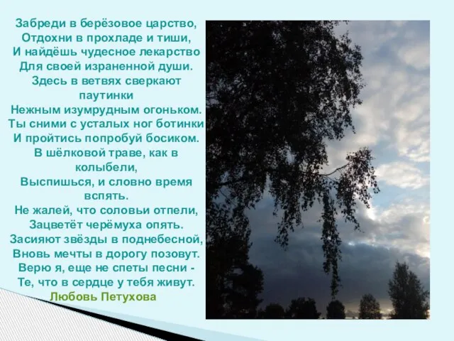 Забреди в берёзовое царство, Отдохни в прохладе и тиши, И найдёшь