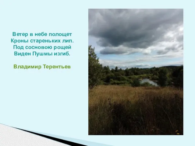 Ветер в небе полощет Кроны стареньких лип. Под сосновою рощей Виден Пушмы изгиб. Владимир Терентьев