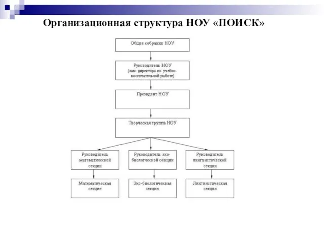 Организационная структура НОУ «ПОИСК»