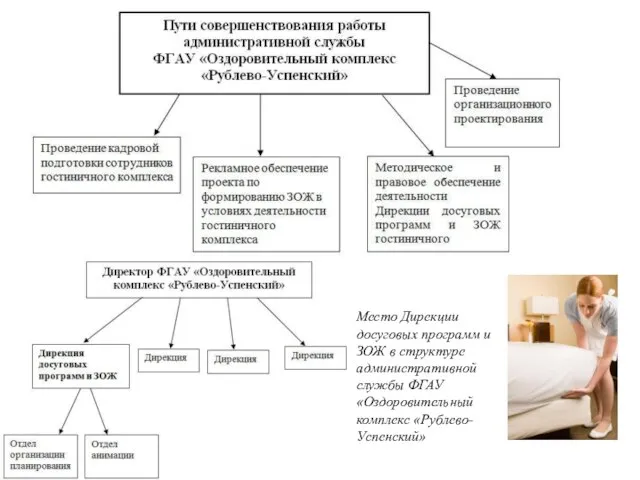 Место Дирекции досуговых программ и ЗОЖ в структуре административной службы ФГАУ «Оздоровительный комплекс «Рублево-Успенский»