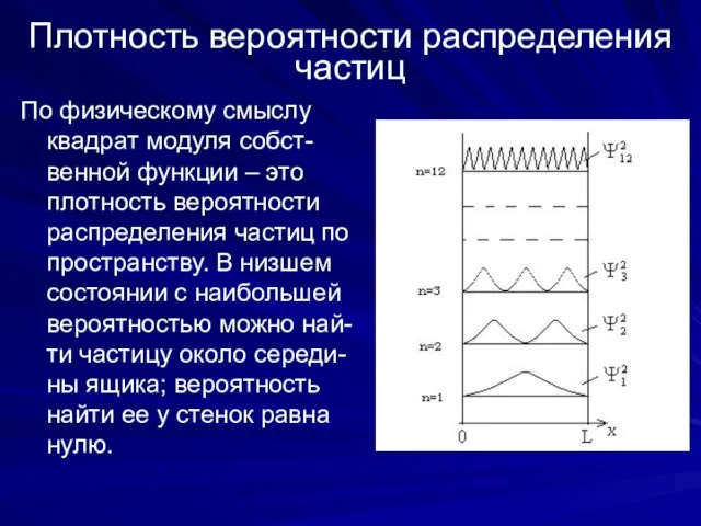 Плотность вероятности распределения частиц По физическому смыслу квадрат модуля собст-венной функции