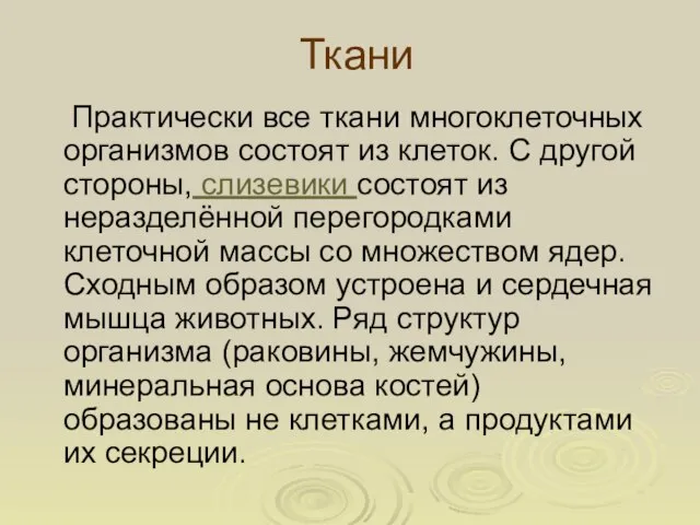 Ткани Практически все ткани многоклеточных организмов состоят из клеток. С другой