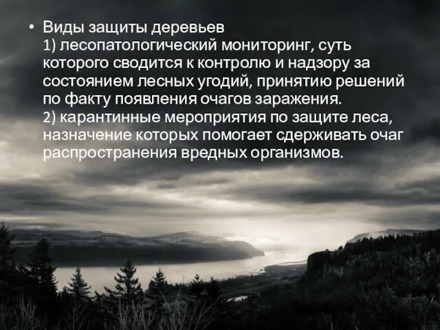 Виды защиты деревьев 1) лесопатологический мониторинг, суть которого сводится к контролю