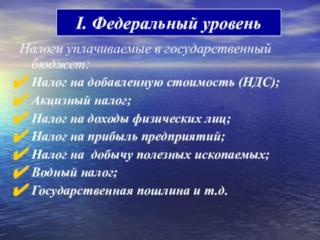 Налоги уплачиваемые в государственный бюджет: Налог на добавленную стоимость (НДС); Акцизный