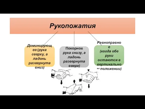 Рукопожатия Доминирующее (рука сверху, а ладонь развернута вниз) Покорное рука снизу,