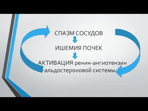 СПАЗМ СОСУДОВ ИШЕМИЯ ПОЧЕК АКТИВАЦИЯ ренин-ангиотензин -альдостероновой системы