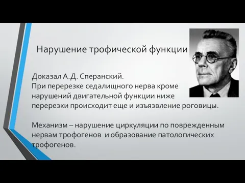 Нарушение трофической функции Доказал А.Д. Сперанский. При перерезке седалищного нерва кроме