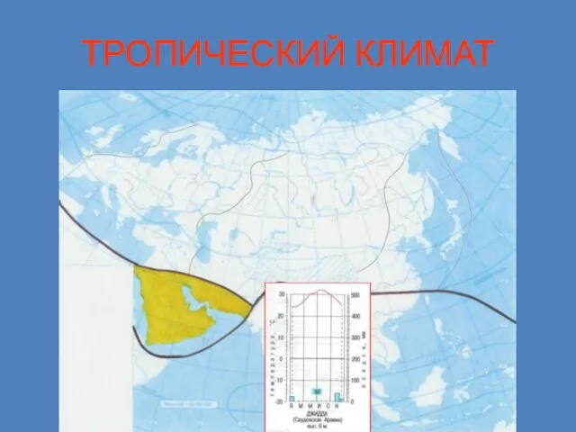 ТРОПИЧЕСКИЙ КЛИМАТ