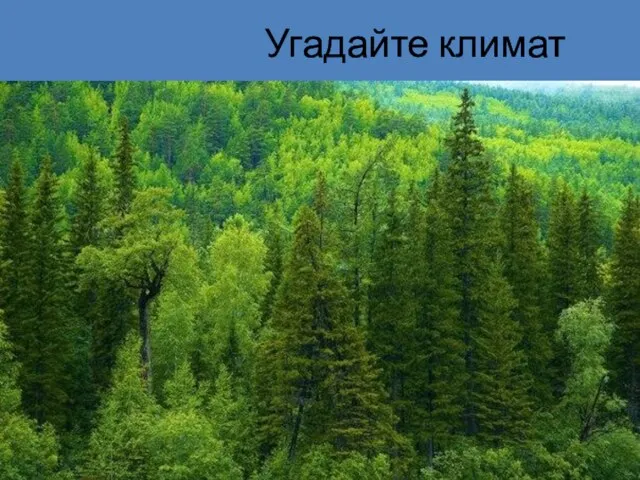 Угадайте климат