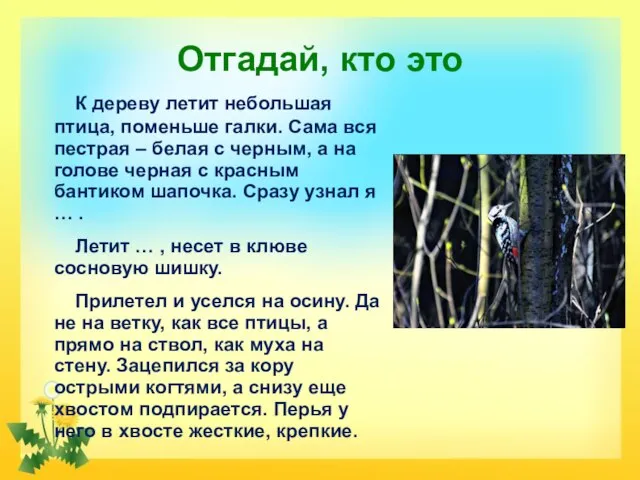 Отгадай, кто это К дереву летит небольшая птица, поменьше галки. Сама