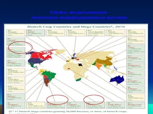 Страны, возделывающие генетически модифицированные растения
