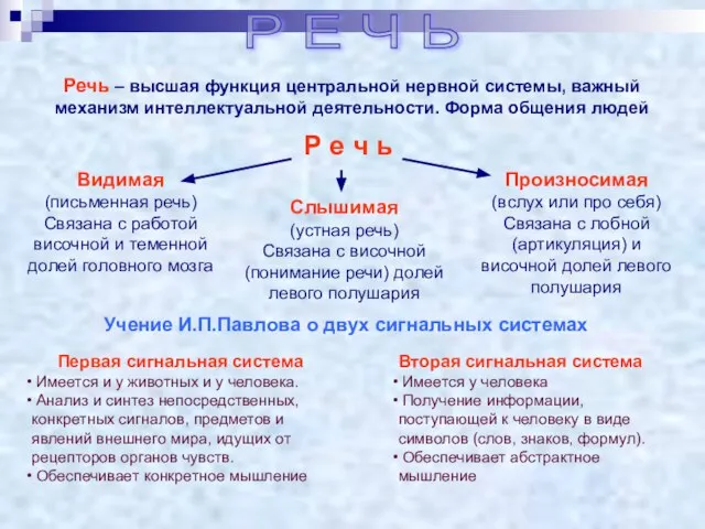 Р Е Ч Ь Речь – высшая функция центральной нервной системы,