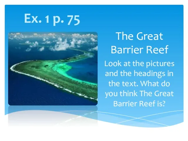 The Great Barrier Reef Look at the pictures and the headings