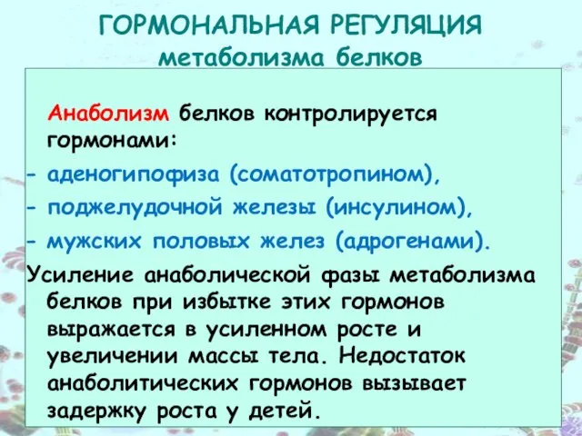 Анаболизм белков контролируется гормонами: аденогипофиза (соматотропином), поджелудочной железы (инсулином), мужских половых