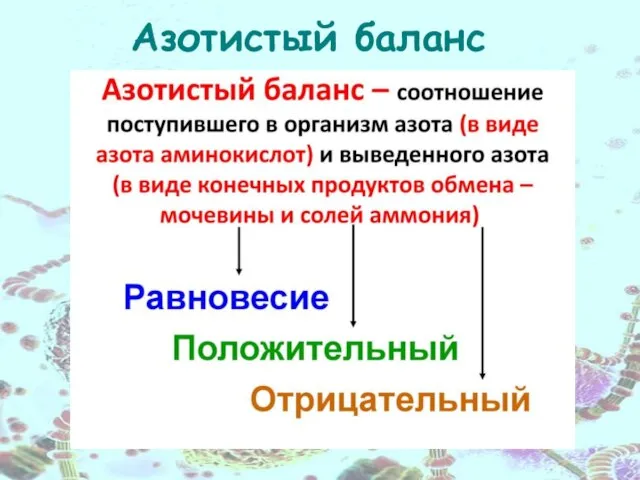 Азотистый баланс