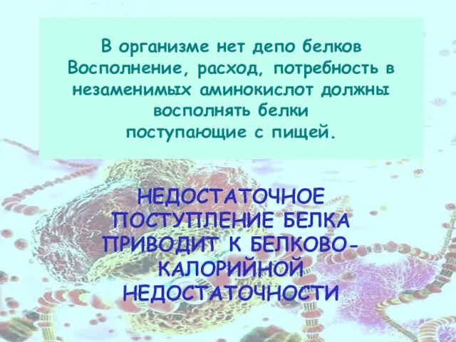 В организме нет депо белков Восполнение, расход, потребность в незаменимых аминокислот