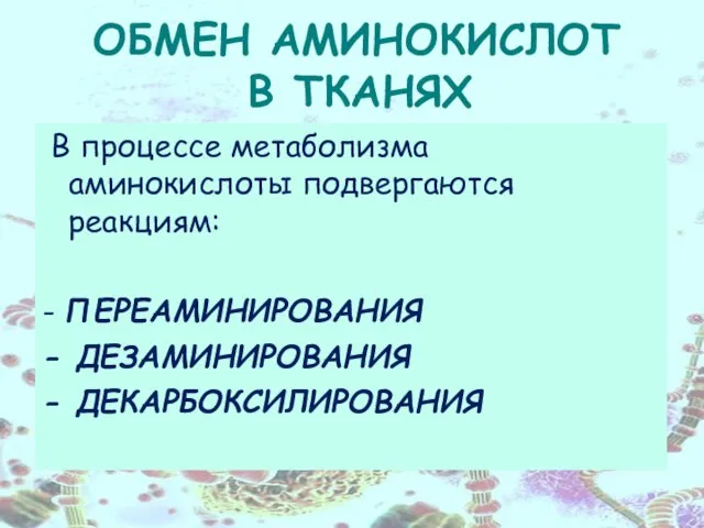 ОБМЕН АМИНОКИСЛОТ В ТКАНЯХ В процессе метаболизма аминокислоты подвергаются реакциям: - ПЕРЕАМИНИРОВАНИЯ - ДЕЗАМИНИРОВАНИЯ - ДЕКАРБОКСИЛИРОВАНИЯ