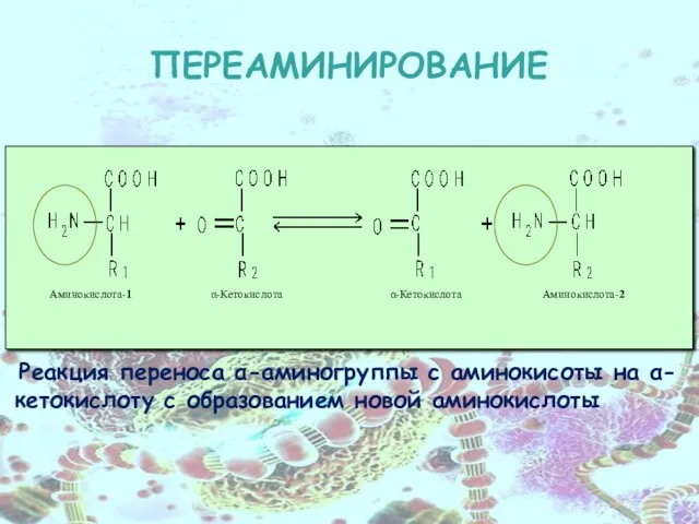 ПЕРЕАМИНИРОВАНИЕ