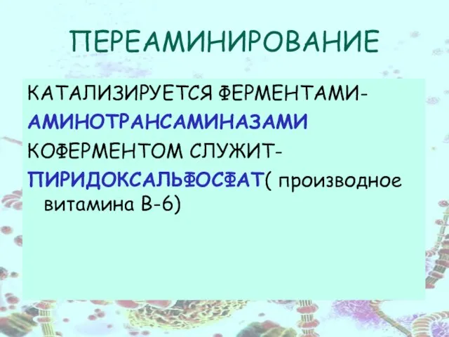 ПЕРЕАМИНИРОВАНИЕ КАТАЛИЗИРУЕТСЯ ФЕРМЕНТАМИ- АМИНОТРАНСАМИНАЗАМИ КОФЕРМЕНТОМ СЛУЖИТ- ПИРИДОКСАЛЬФОСФАТ( производное витамина B-6)