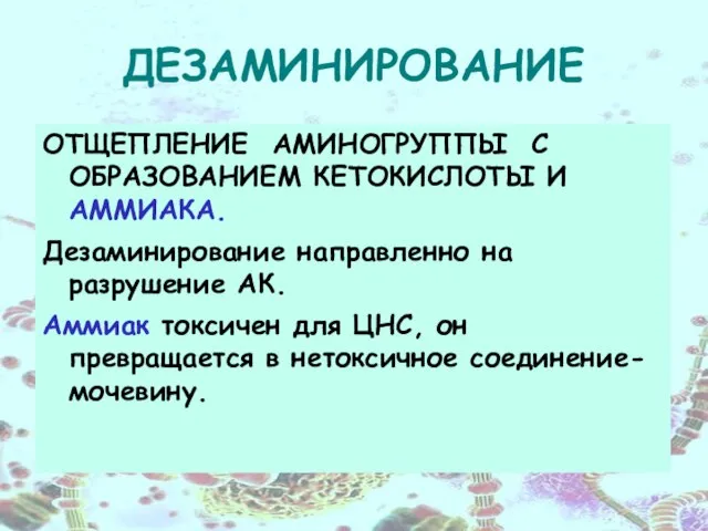 ДЕЗАМИНИРОВАНИЕ ОТЩЕПЛЕНИЕ АМИНОГРУППЫ С ОБРАЗОВАНИЕМ КЕТОКИСЛОТЫ И АММИАКА. Дезаминирование направленно на