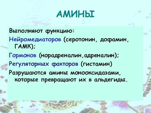 АМИНЫ Выполняют функцию: Нейромедиаторов (серотонин, дофамин, ГАМК); Гормонов (норадреналин,адреналин); Регуляторных факторов