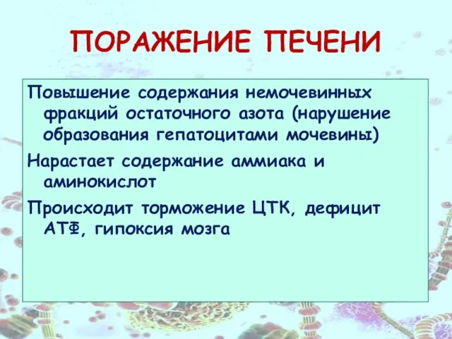 ПОРАЖЕНИЕ ПЕЧЕНИ Повышение содержания немочевинных фракций остаточного азота (нарушение образования гепатоцитами