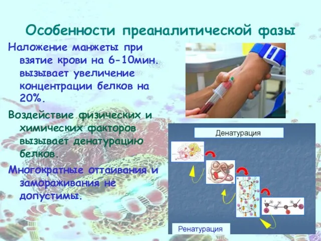 Особенности преаналитической фазы Наложение манжеты при взятие крови на 6-10мин. вызывает