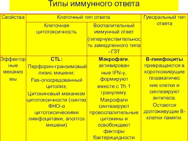 Типы иммунного ответа