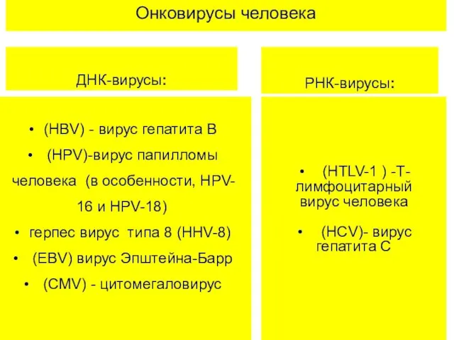 Онковирусы человека ДНК-вирусы: (HBV) - вирус гепатита В (HPV)-вирус папилломы человека
