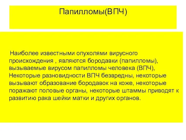 Папилломы(ВПЧ) Наиболее известными опухолями вирусного происхождения , являются бородавки (папилломы), вызываемые