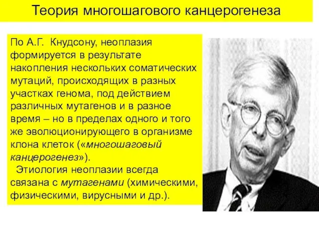 Теория многошагового канцерогенеза 1971 год: Альфред Г. Кнудсон –концепция многошагового канцерогенеза