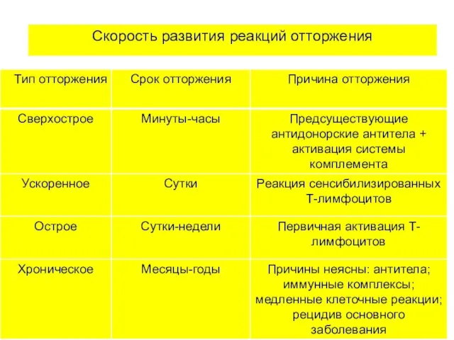 Скорость развития реакций отторжения