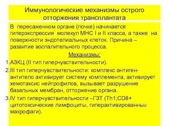 Иммунологические механизмы острого отторжения трансплантата В пересаженном органе (почке) начинается гиперэкспрессия