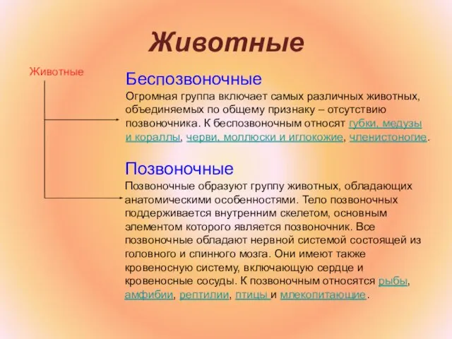 Животные Беспозвоночные Огромная группа включает самых различных животных, объединяемых по общему