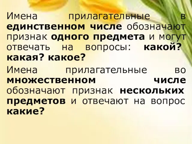 Имена прилагательные в единственном числе обозначают признак одного предмета и могут